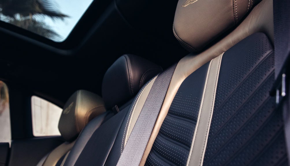 Aston Martin Detroit Leather Seats